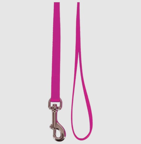 Pet Products: Everyday Pet Accessories Available in Unaizah