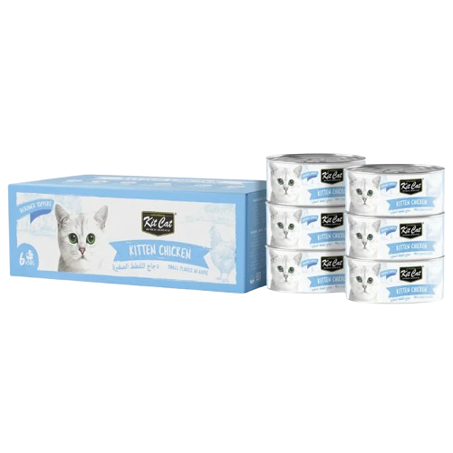 Pet Products: Wholesale Pet Supplier in Riyadh (مورد مستلزمات الحيوانات الأليفة بالجملة في الرياض )  for Quality Pet Essentials